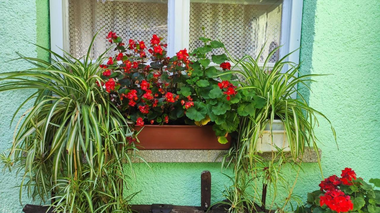 Ópusztaszeri Mózes Vendégház Opusztaszer Exterior foto