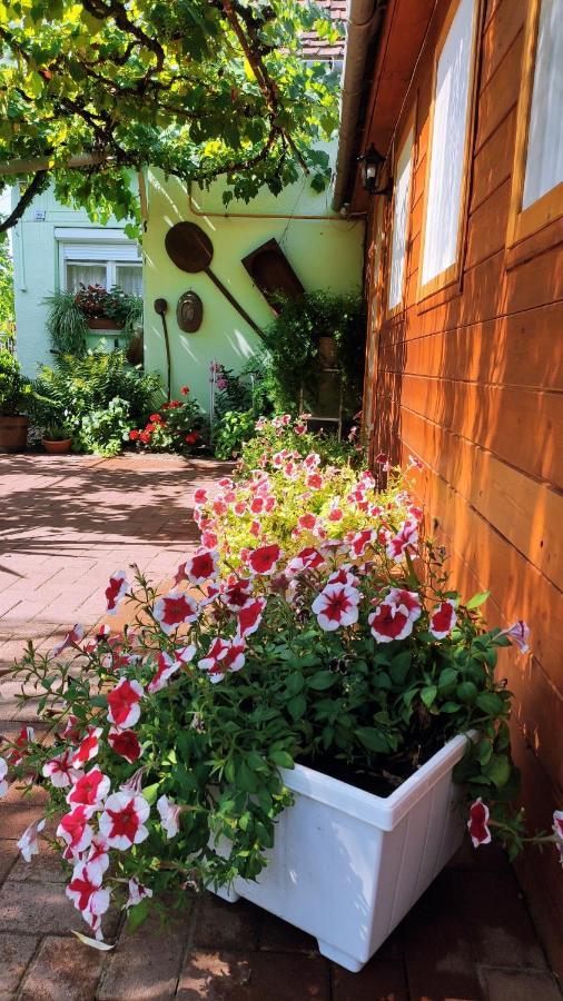 Ópusztaszeri Mózes Vendégház Opusztaszer Exterior foto