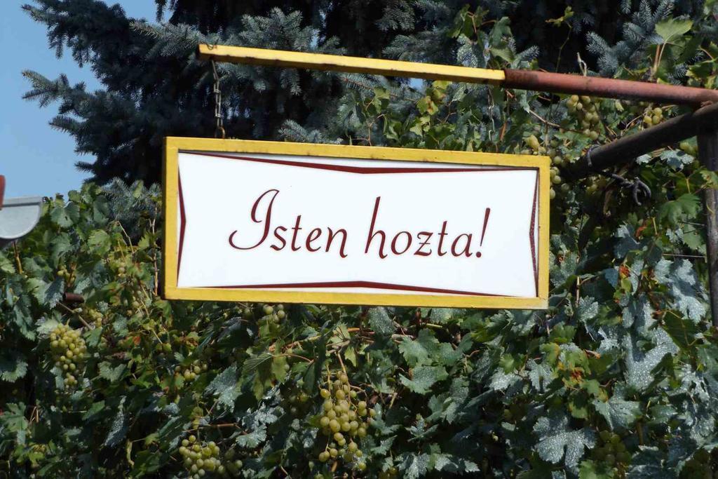 Ópusztaszeri Mózes Vendégház Opusztaszer Exterior foto